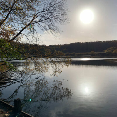 natur